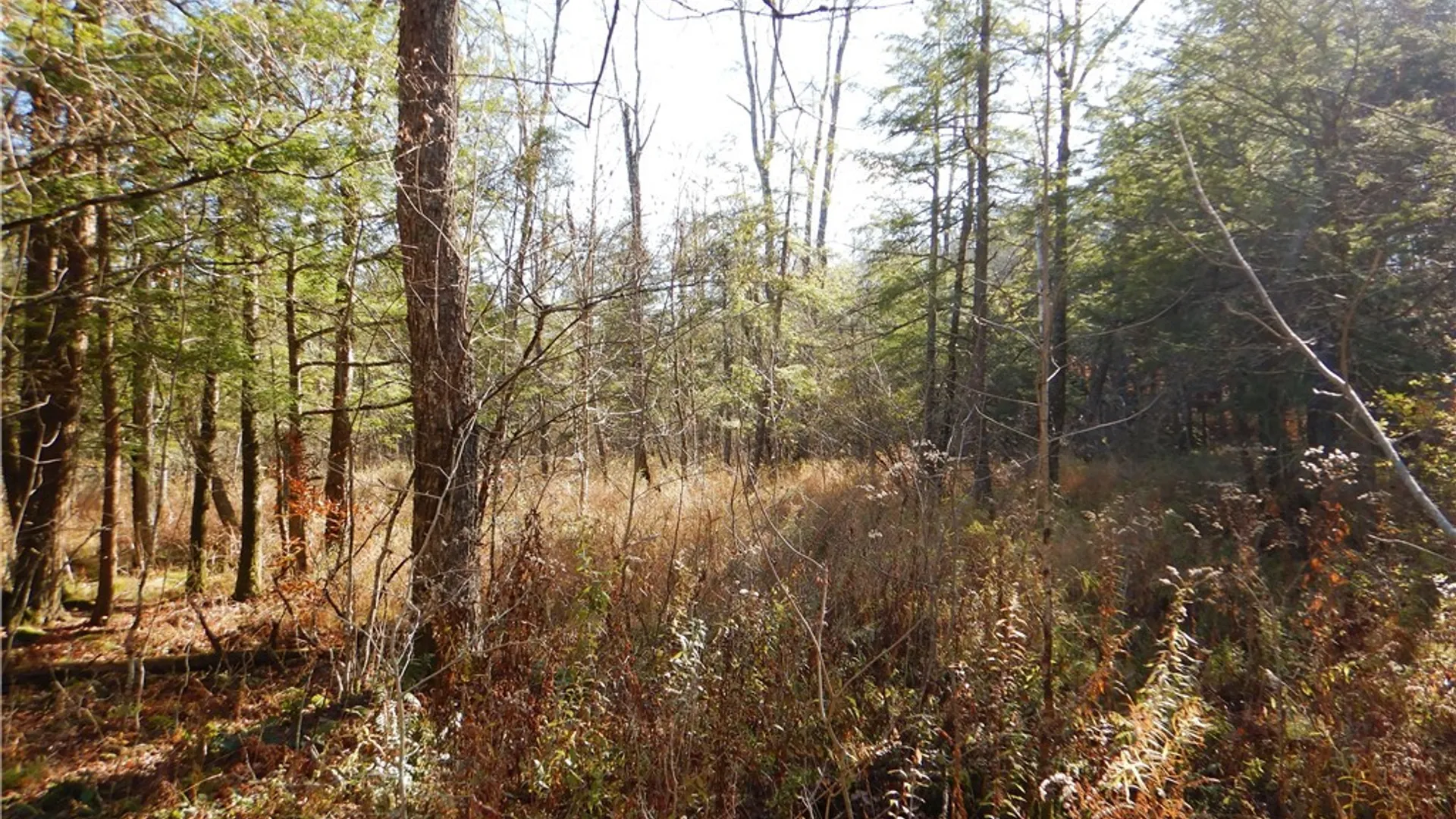 Property at Route 220, Mc Donough, NY 13830 23