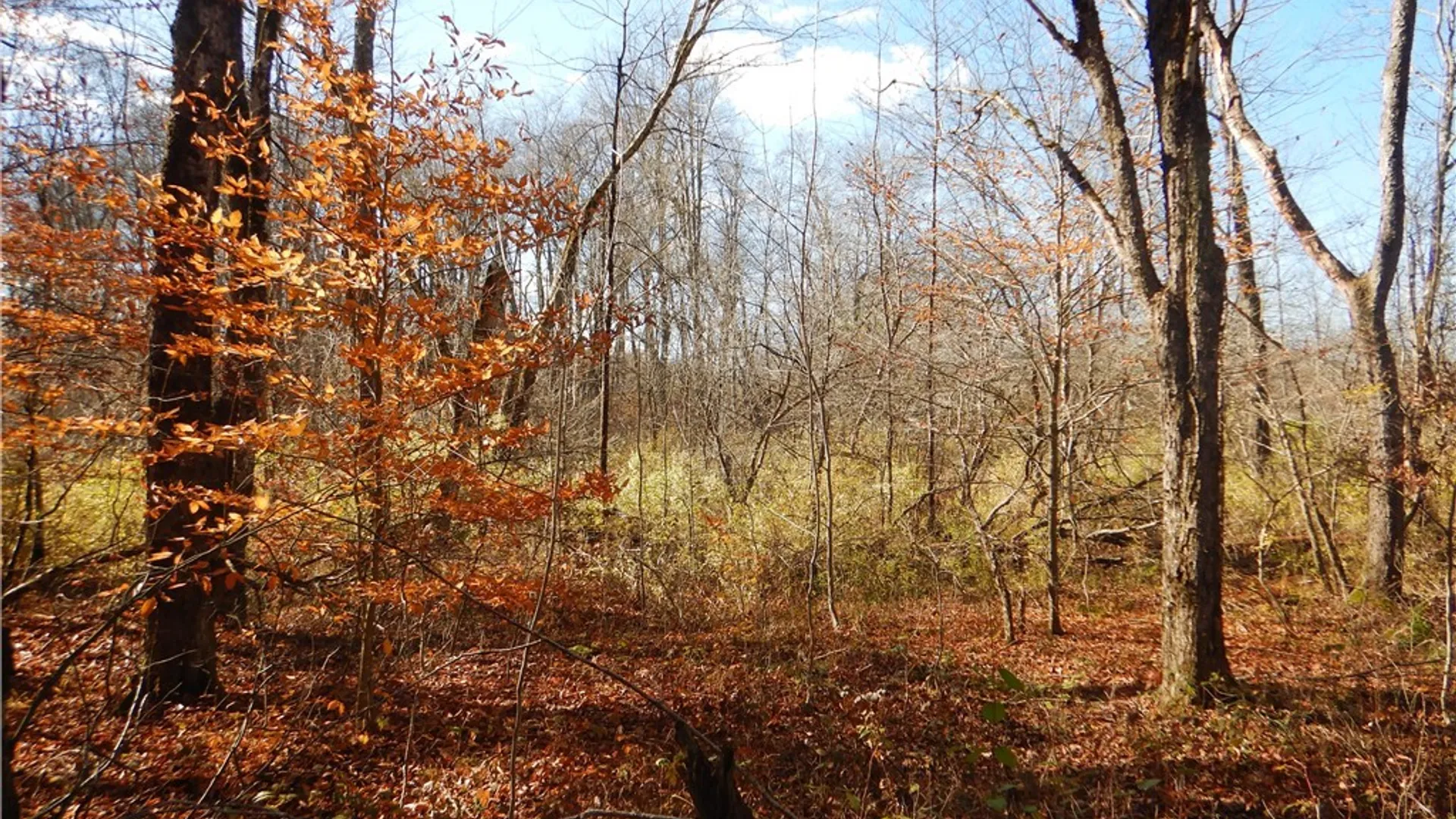 Property at Route 220, Mc Donough, NY 13830 6