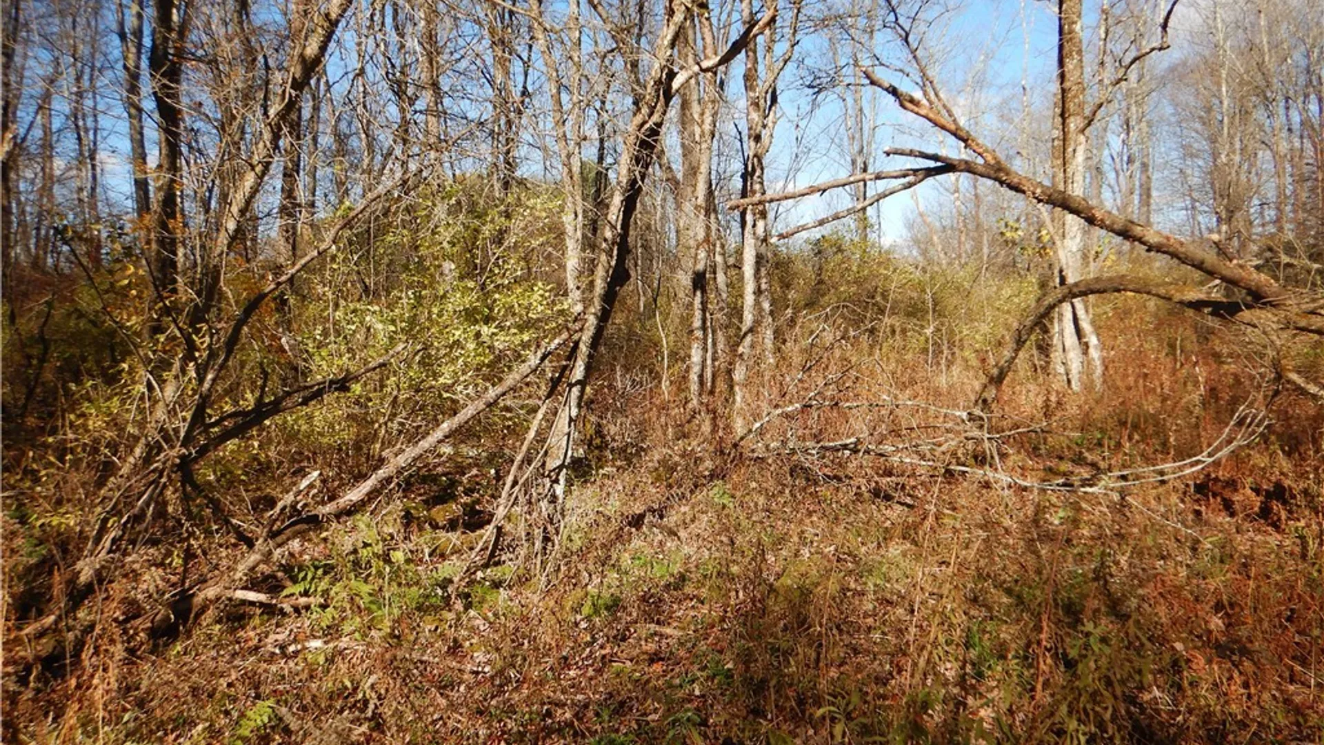 Property at Route 220, Mc Donough, NY 13830 8