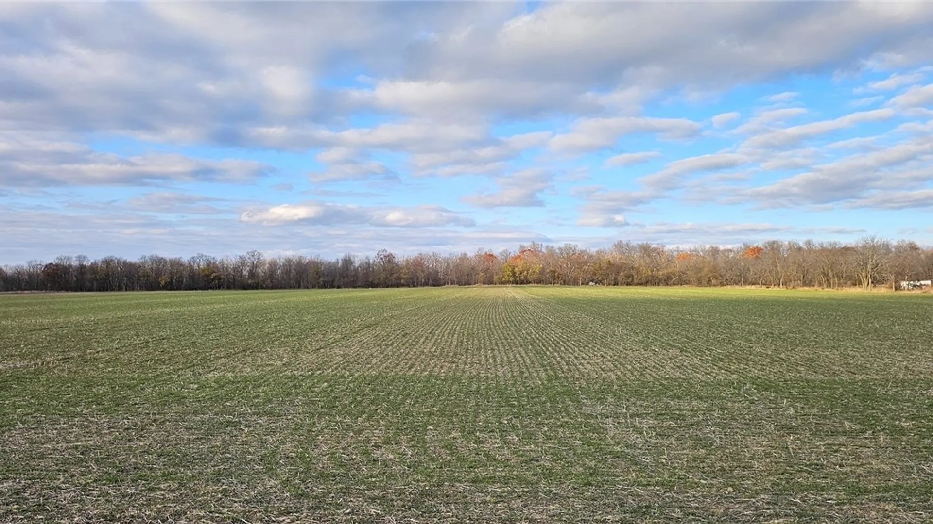 Property at Kennedy Road, Varick, NY 14521 5
