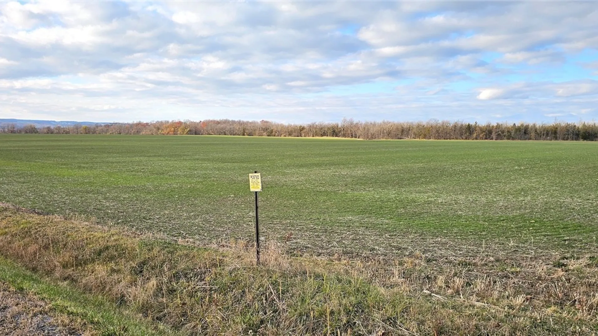 Property at Kennedy Road, Varick, NY 14521 3