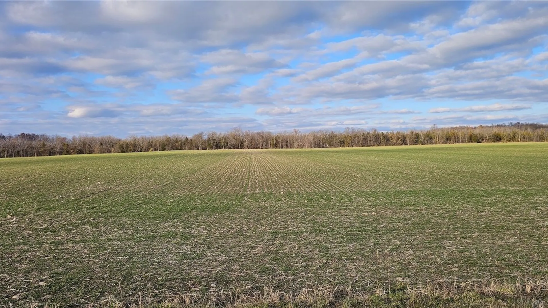 Property at Kennedy Road, Varick, NY 14521 4