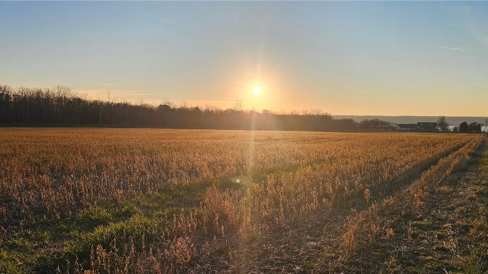 Property at State Route 96A, Romulus, NY 14541 12