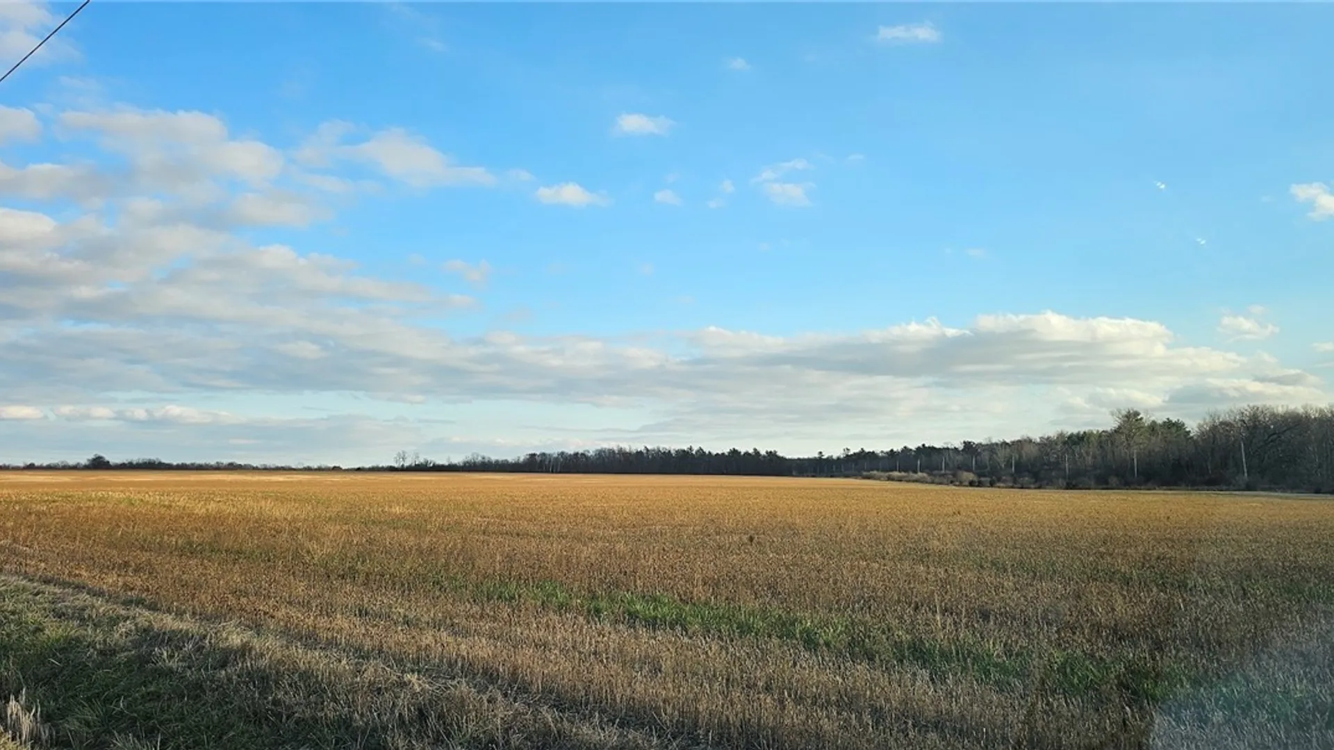 Property at State Route 96A, Romulus, NY 14541 6