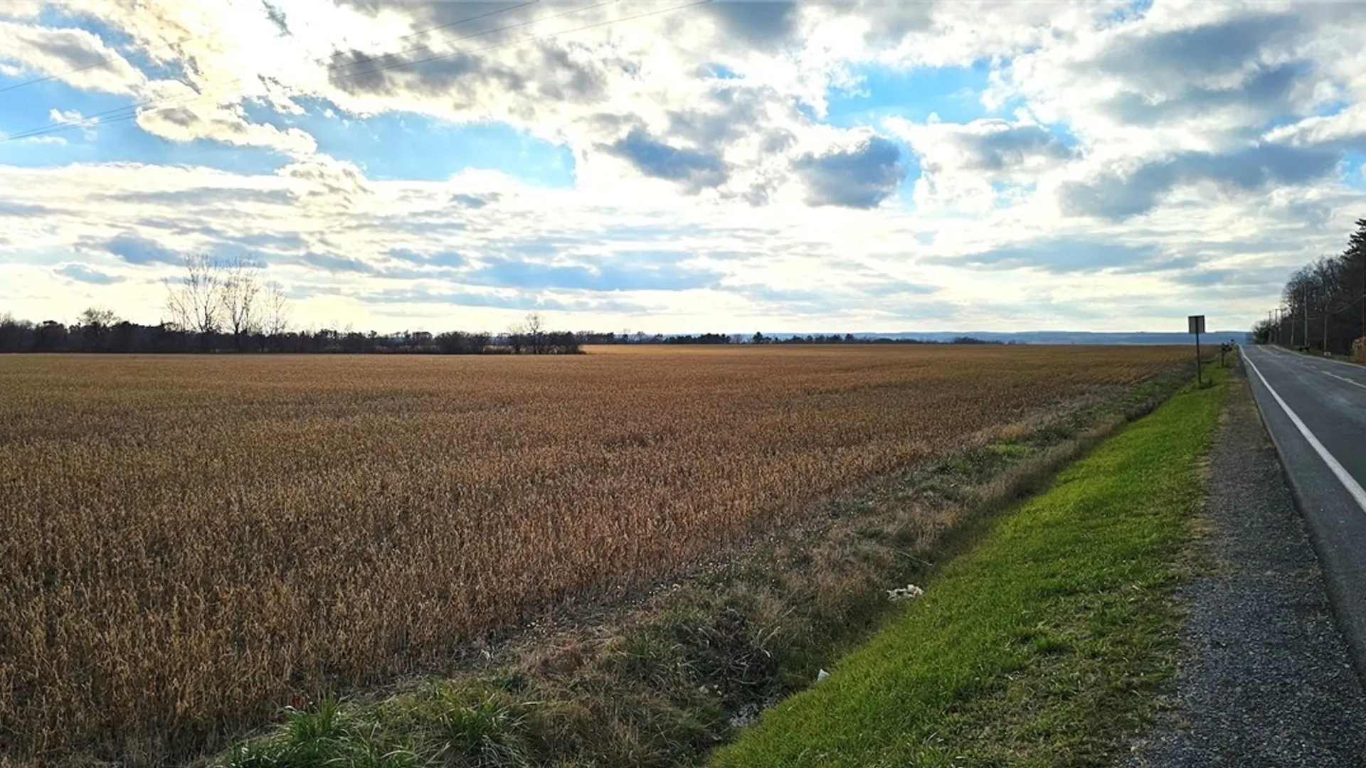 Property at State Route 96A, Romulus, NY 14541 7