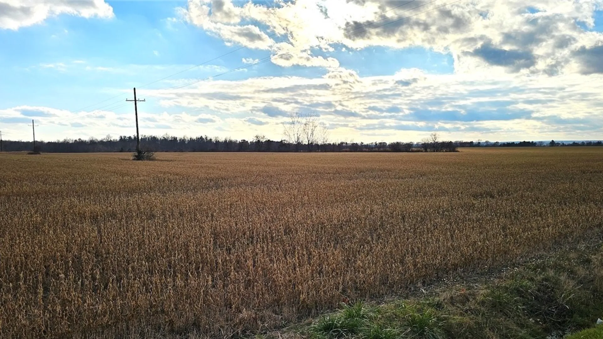 Property at State Route 96A, Romulus, NY 14541 8