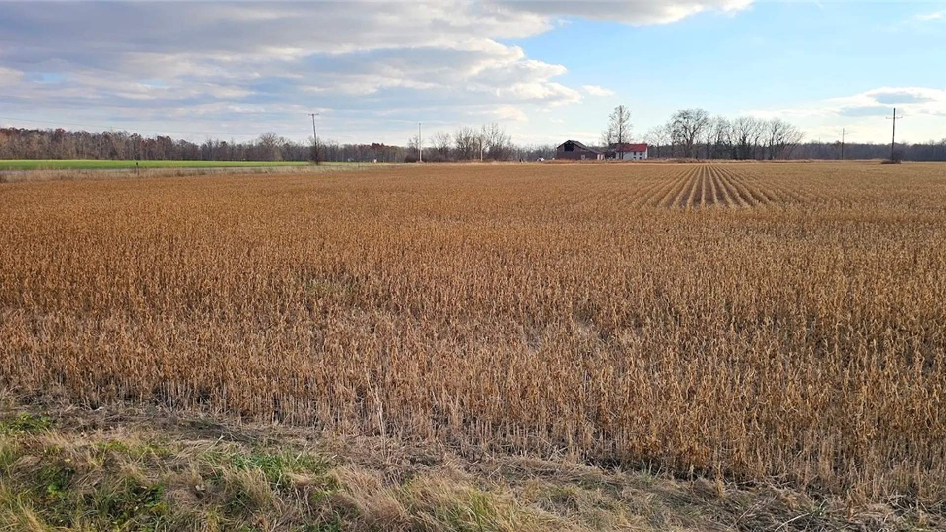 Property at State Route 96A, Romulus, NY 14541 9