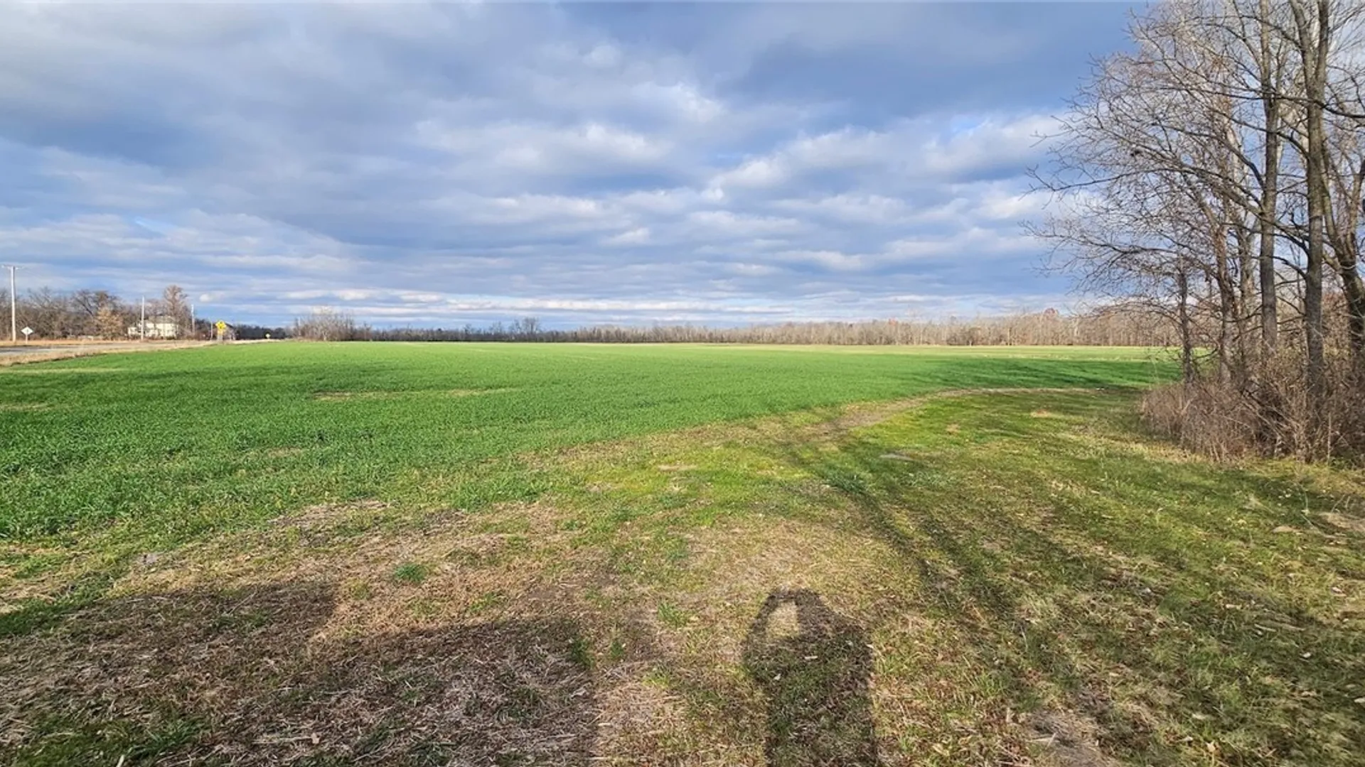 Property at State Route 96A, Romulus, NY 14541 4