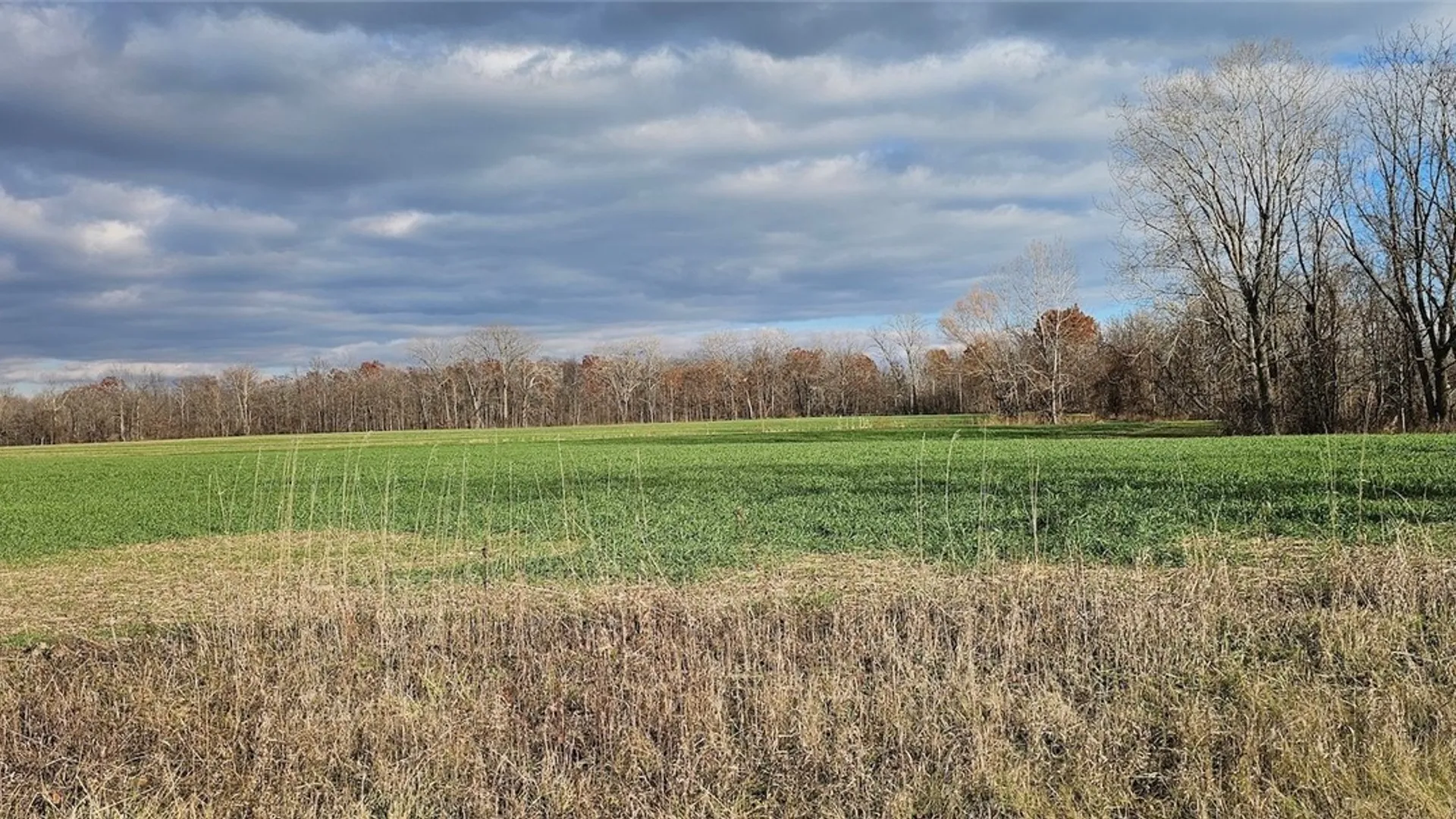 Property at State Route 96A, Romulus, NY 14541 5