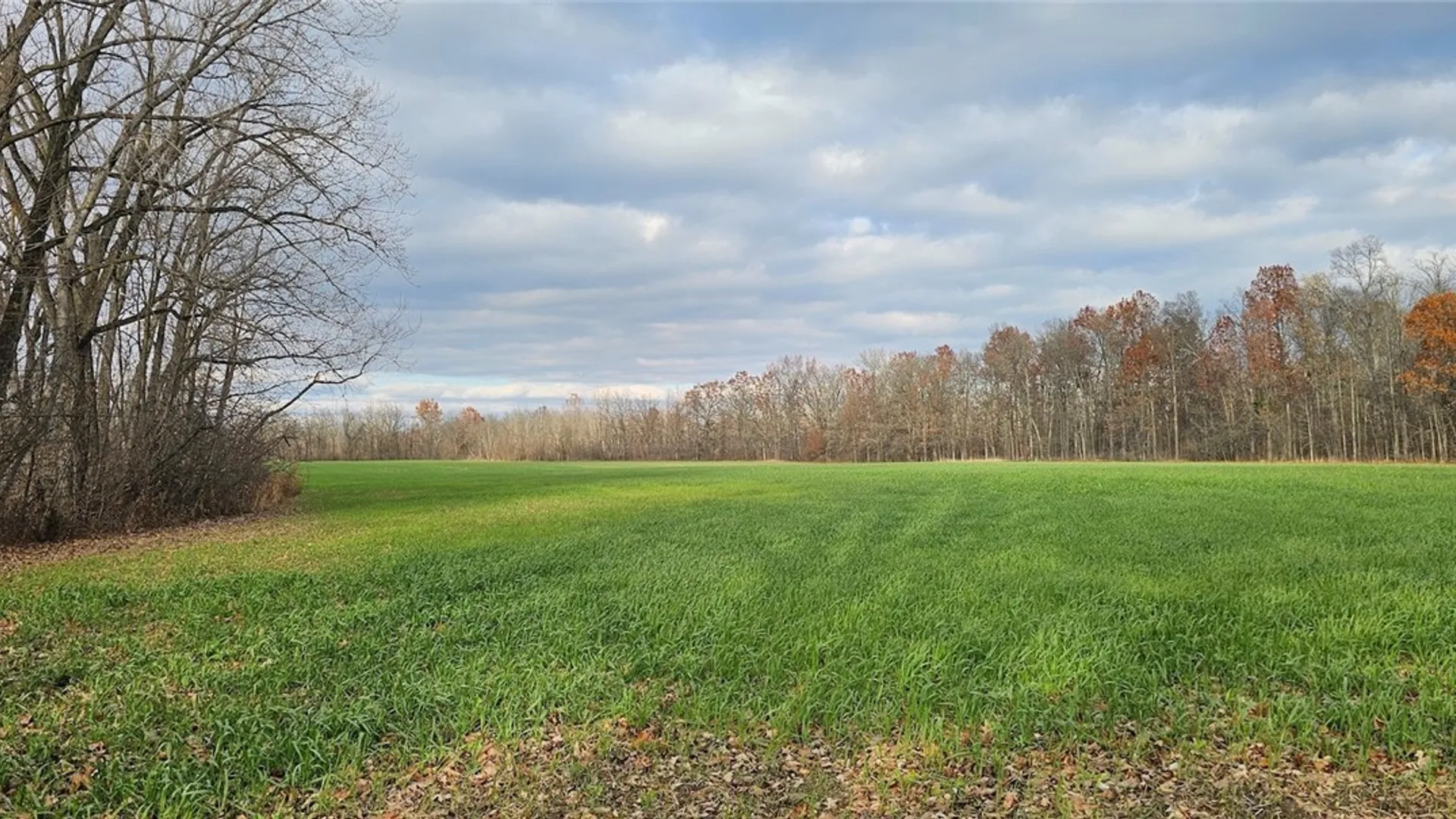 Property at State Route 96A, Romulus, NY 14541 6