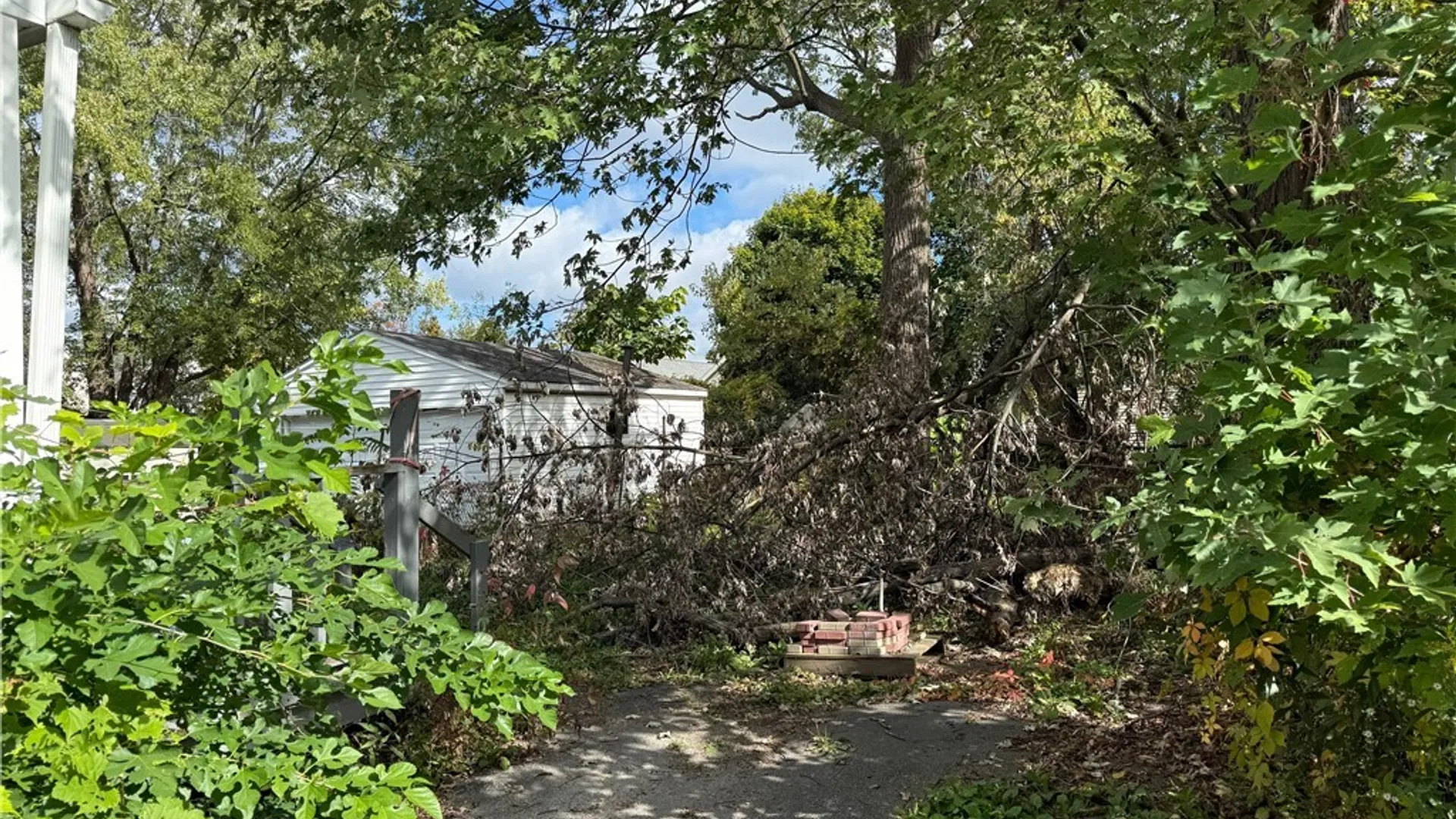 Property at 253 Gold Street, Buffalo, NY 14206 2