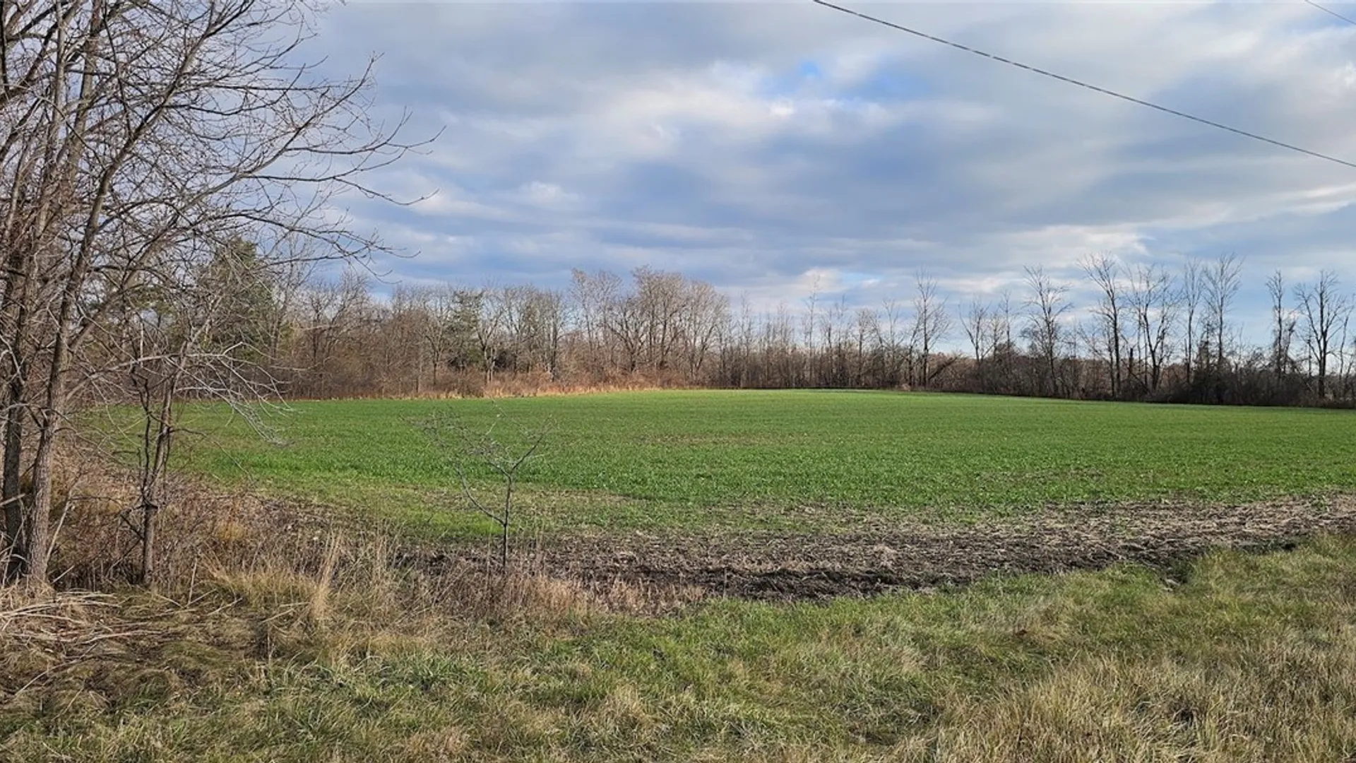 Property at Rte 96a, Varick, NY 14521 2