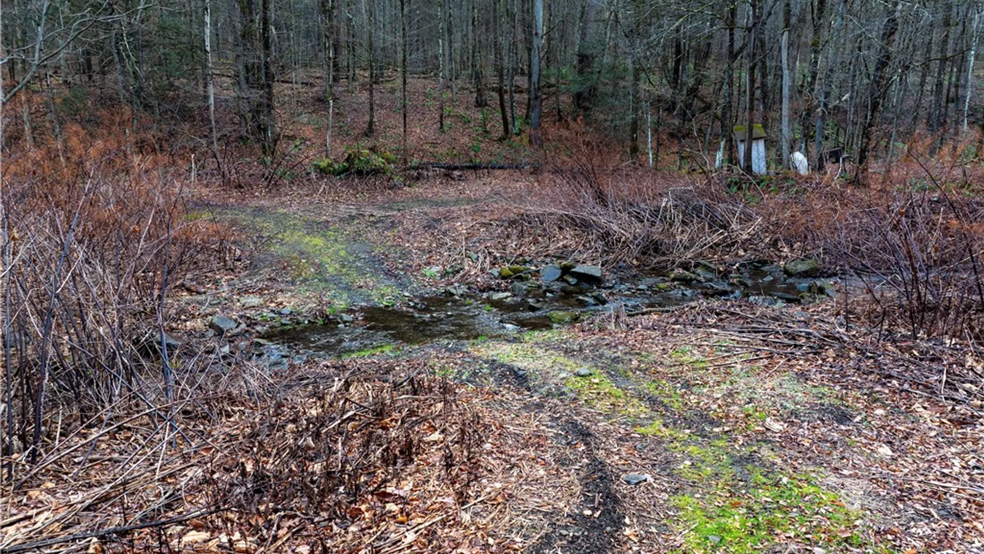Property at 10806 W Caton Road, Caton, NY 14830 10