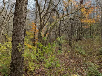 Property at Ryan Road, Osceola, NY 13493