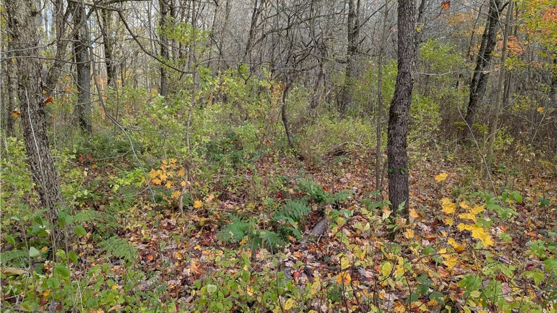 Property at Ryan Road, Osceola, NY 13493 2