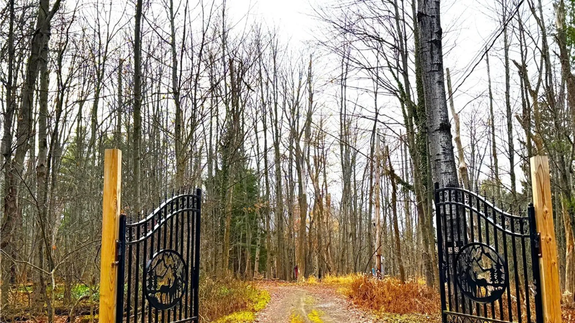 Property at 1 Whisper Lane, Ellicott, NY 14701 3
