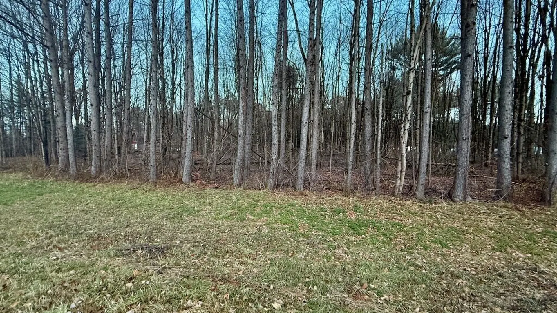 Property at 657 County Route 48, Albion, NY 13302 11