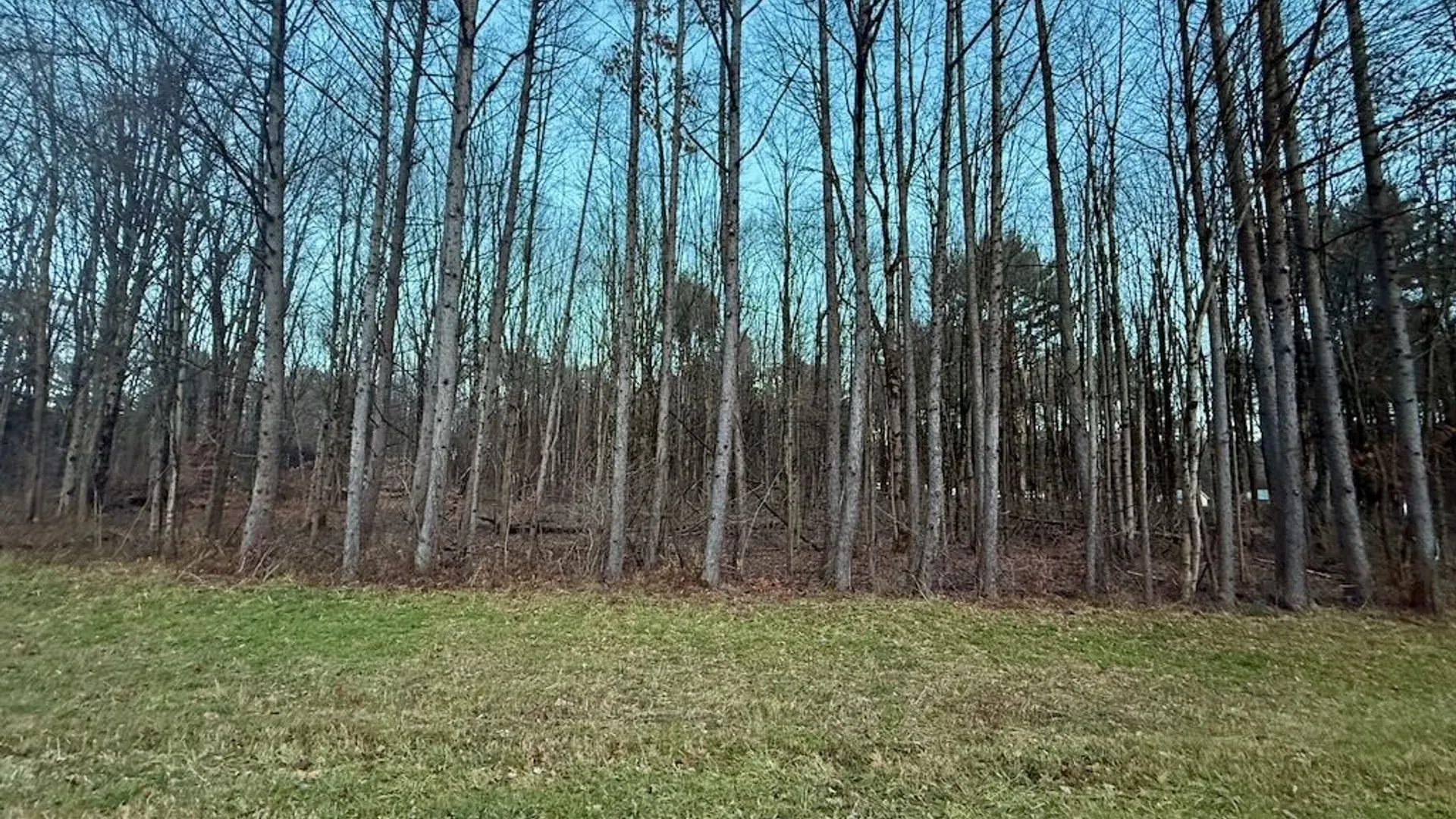 Property at 657 County Route 48, Albion, NY 13302 12