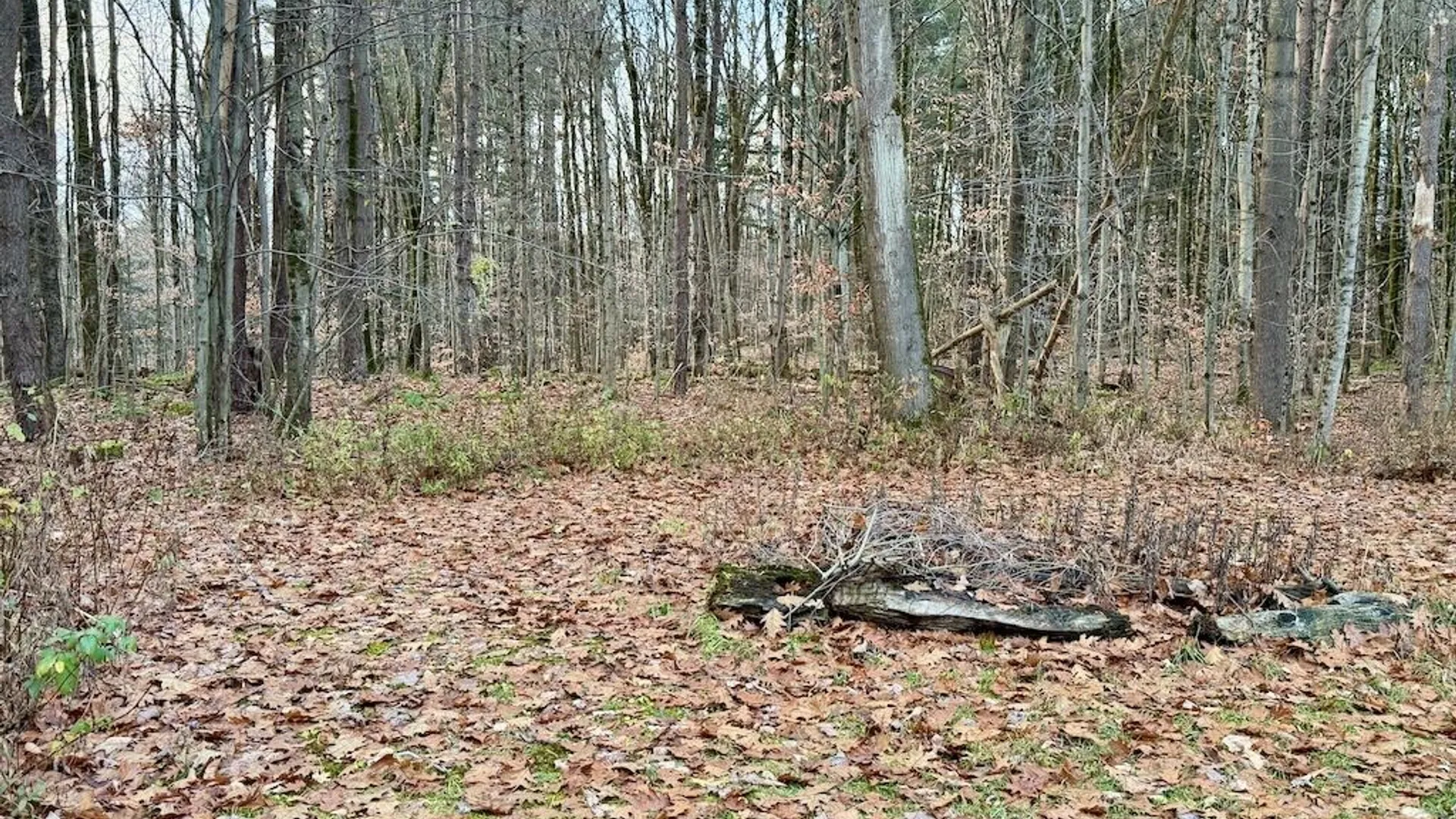 Property at 657 County Route 48, Albion, NY 13302 6