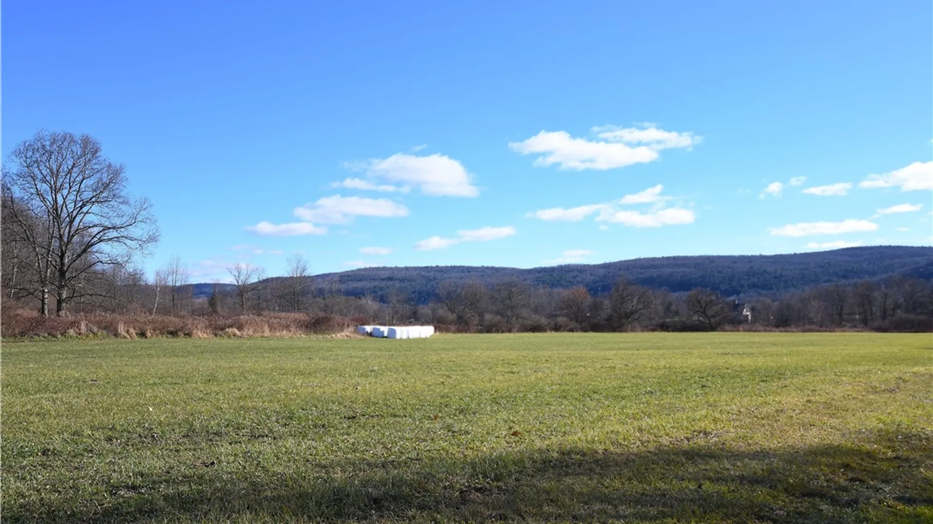 Property at 158 Dingman Hill Road, Bainbridge, NY 13733 28