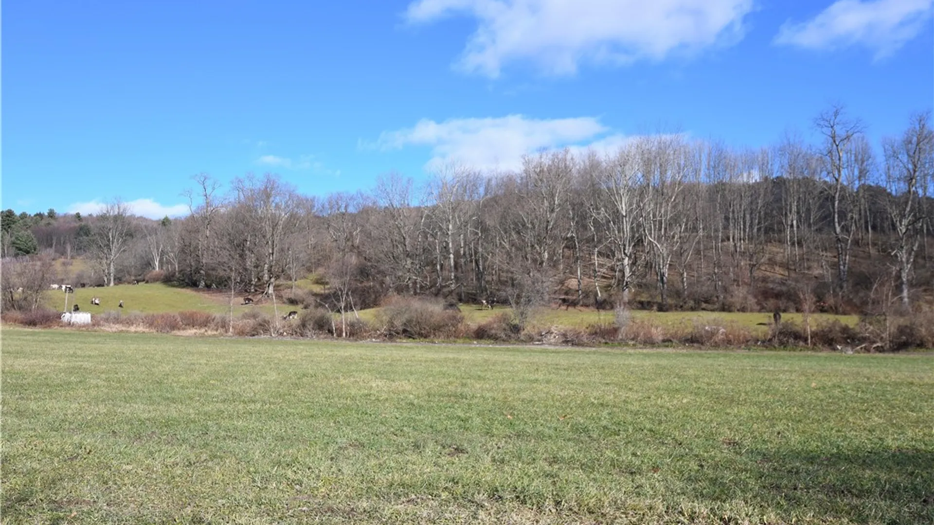 Property at 158 Dingman Hill Road, Bainbridge, NY 13733 29