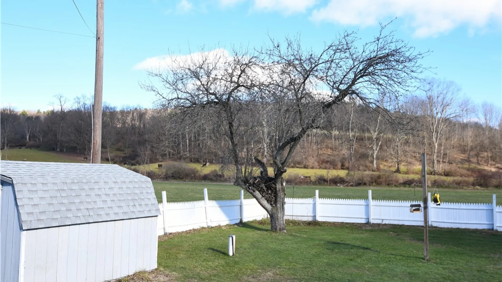 Property at 158 Dingman Hill Road, Bainbridge, NY 13733 31