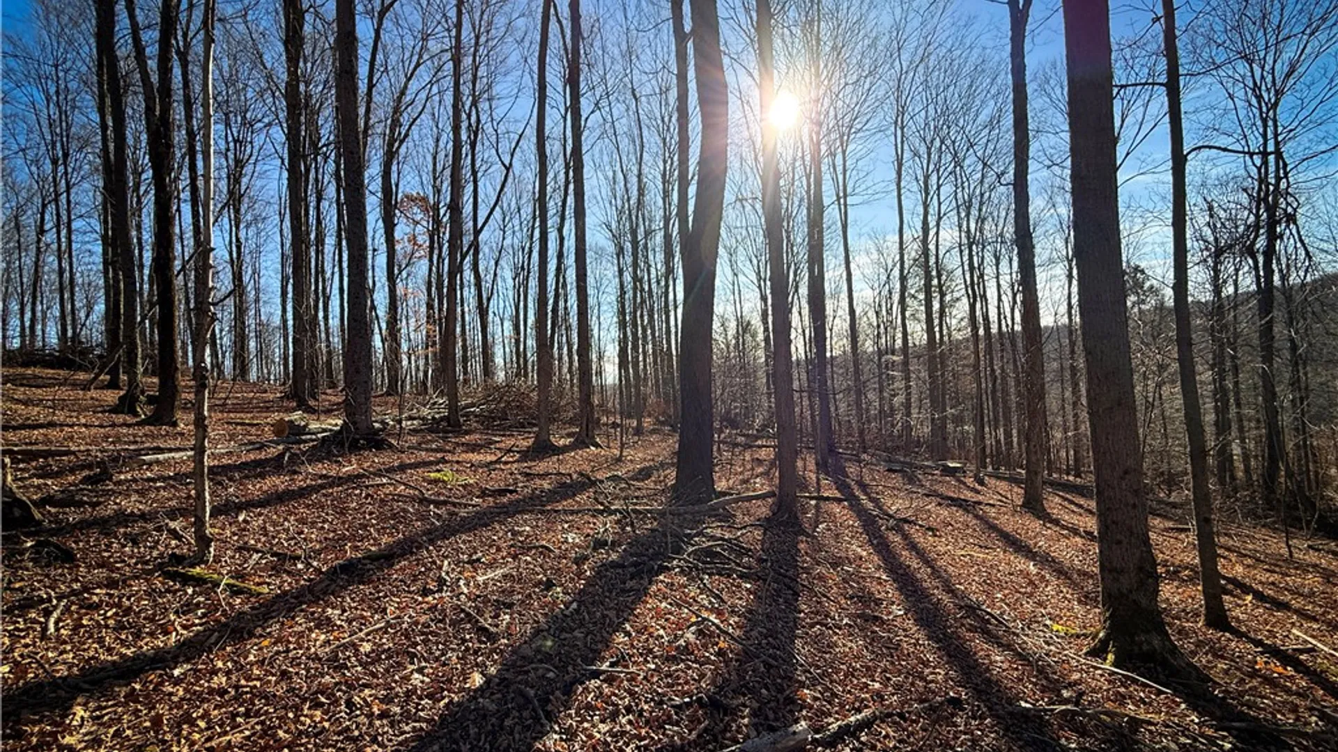 Property at Lot-01 Langford Creek Road, Van Etten, NY 14889 12
