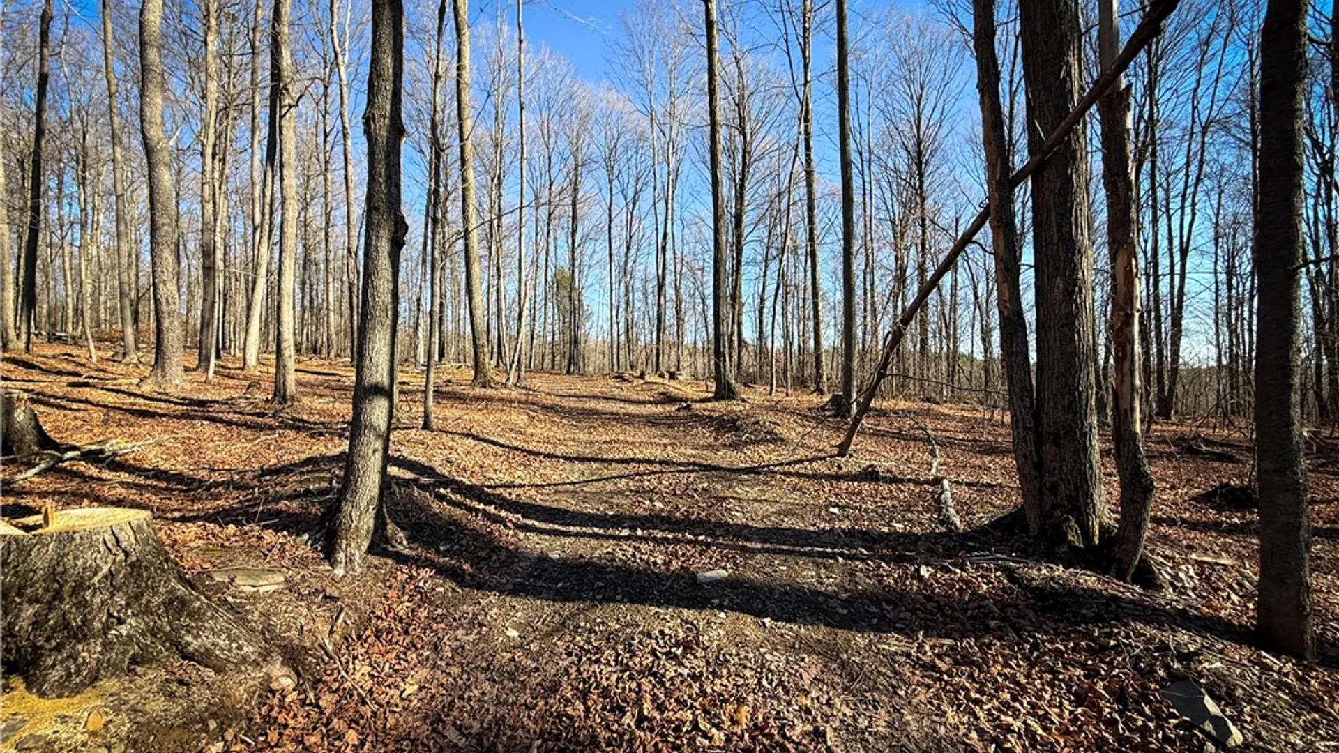Property at Lot-01 Langford Creek Road, Van Etten, NY 14889 13
