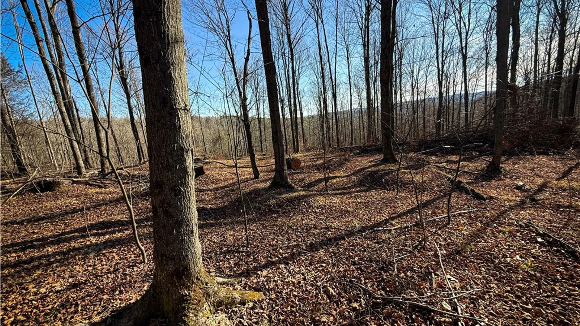 Property at Lot-01 Langford Creek Road, Van Etten, NY 14889 14