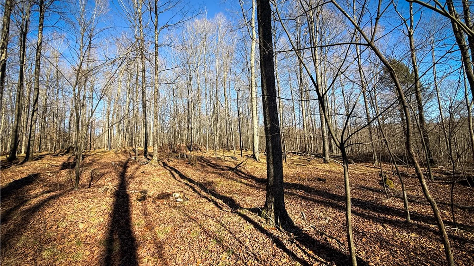 Property at Lot-01 Langford Creek Road, Van Etten, NY 14889 15