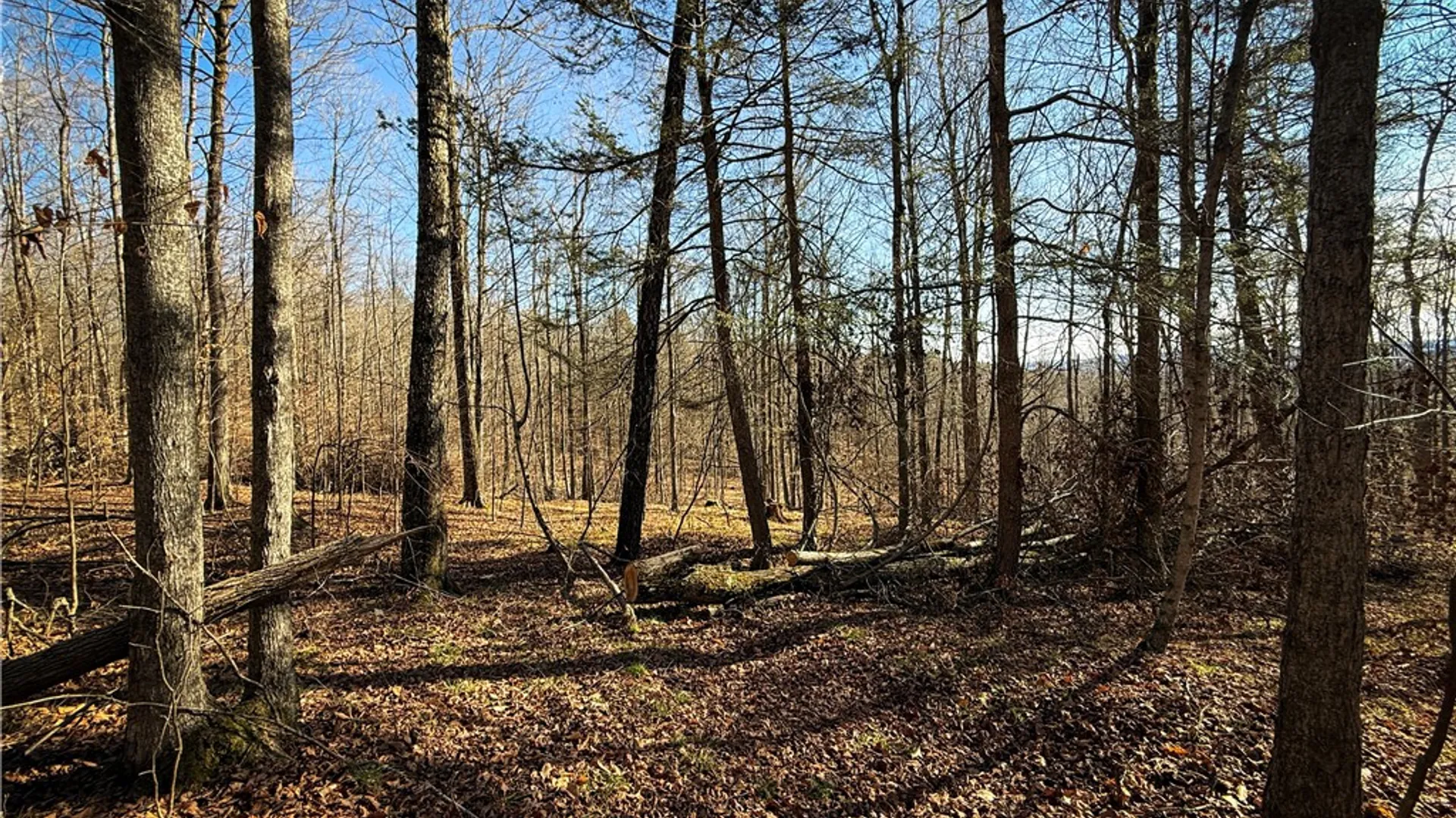 Property at Lot-01 Langford Creek Road, Van Etten, NY 14889 18