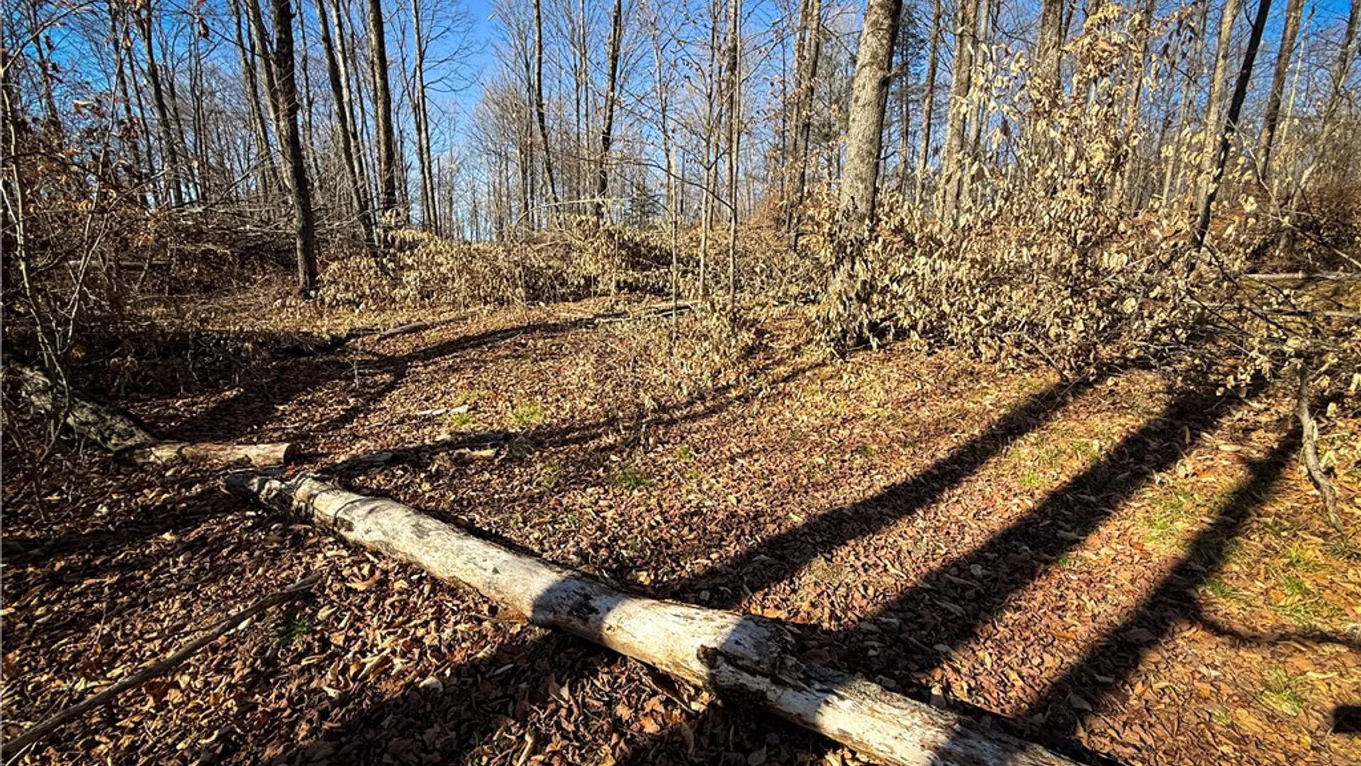 Property at Lot-01 Langford Creek Road, Van Etten, NY 14889 19