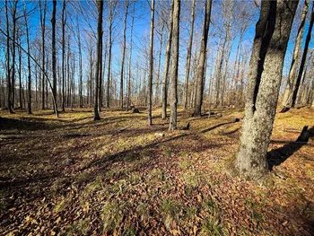 Property at Lot-01 Langford Creek Road, Van Etten, NY 14889
