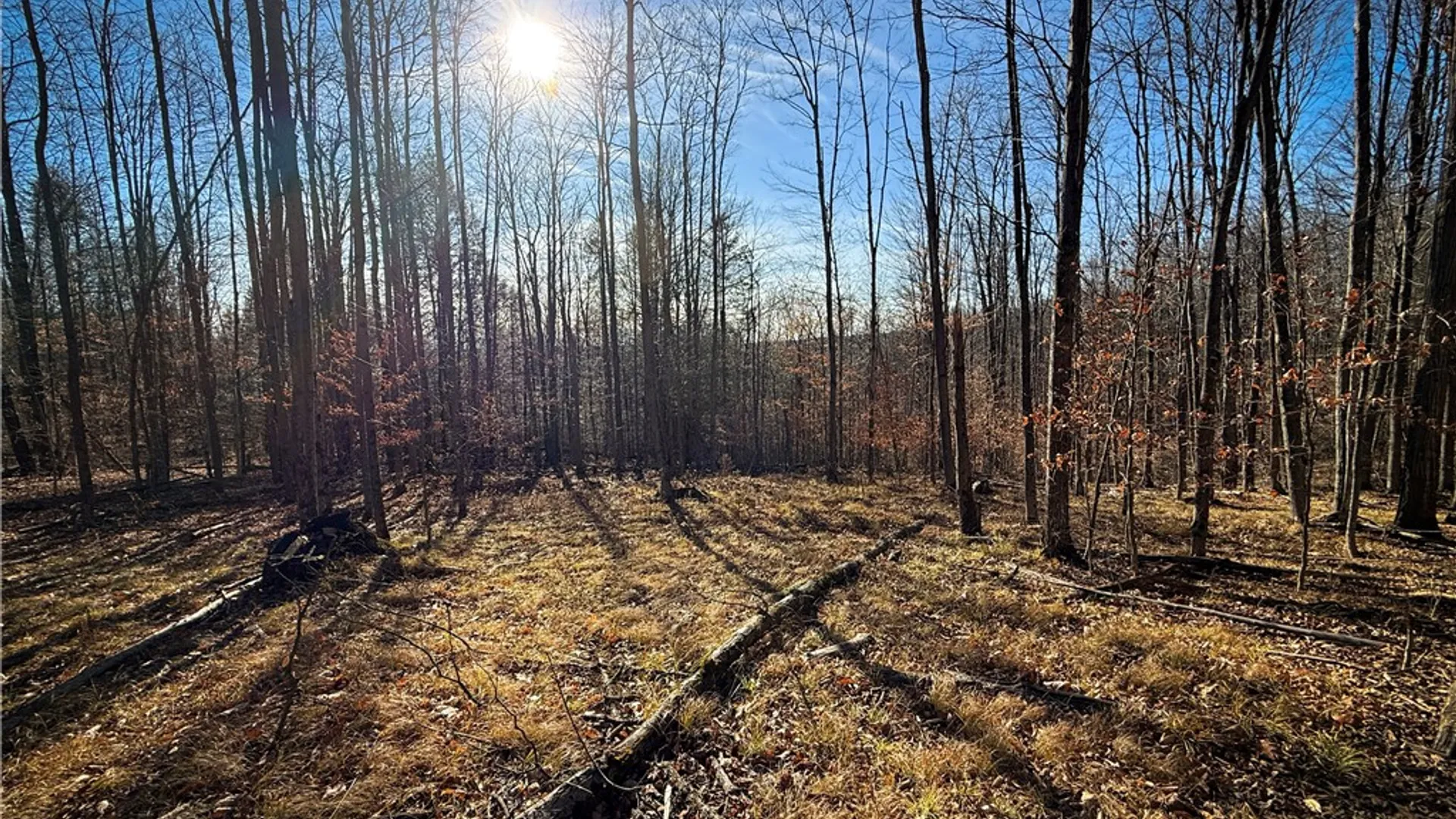 Property at Lot-01 Langford Creek Road, Van Etten, NY 14889 20