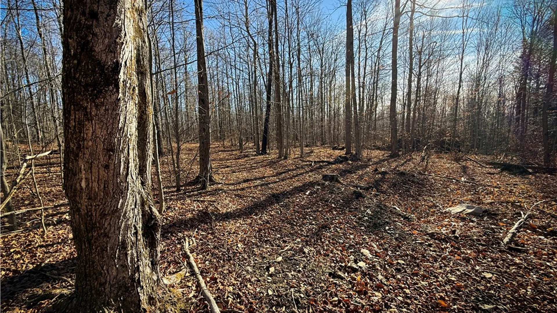 Property at Lot-01 Langford Creek Road, Van Etten, NY 14889 22