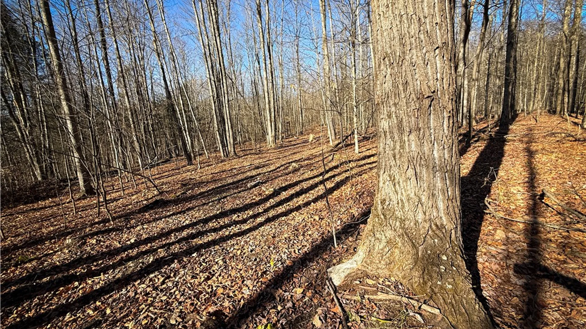 Property at Lot-01 Langford Creek Road, Van Etten, NY 14889 23