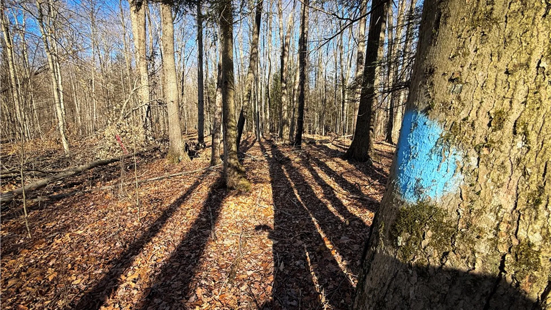 Property at Lot-01 Langford Creek Road, Van Etten, NY 14889 24
