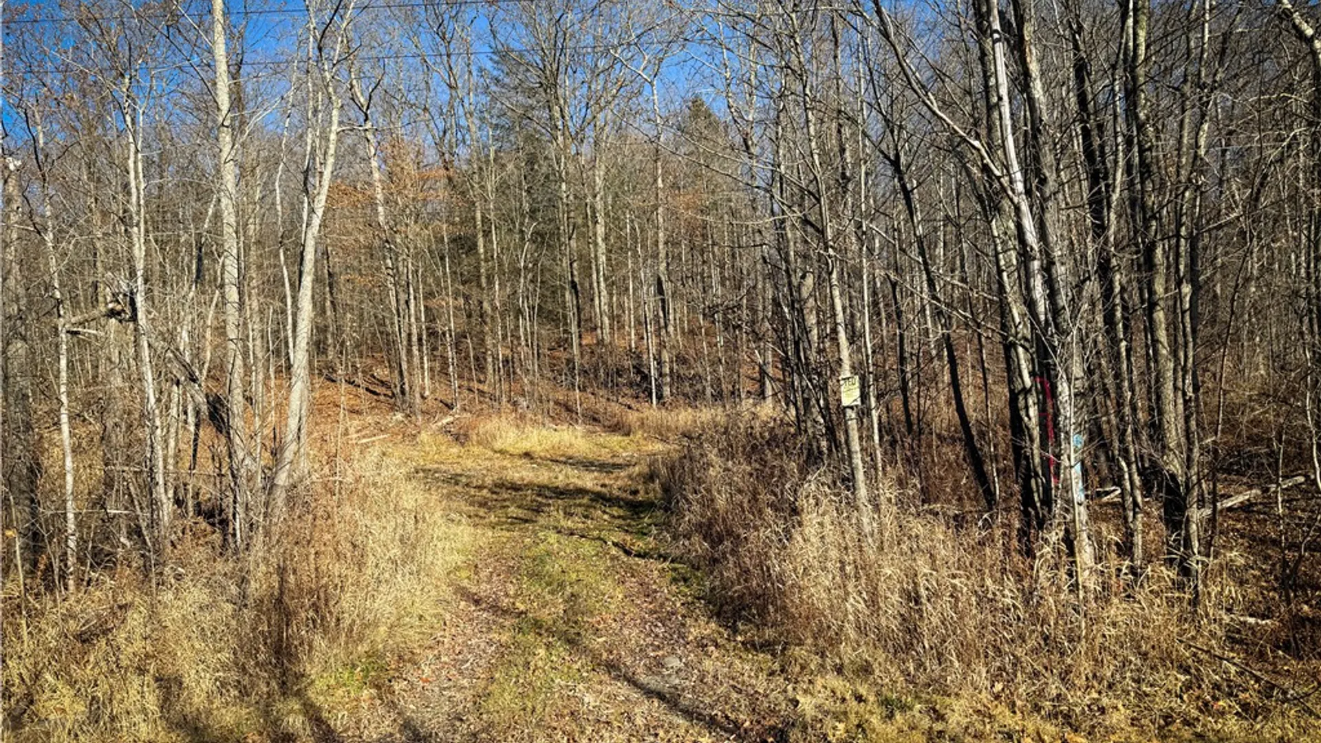 Property at Lot-01 Langford Creek Road, Van Etten, NY 14889 28