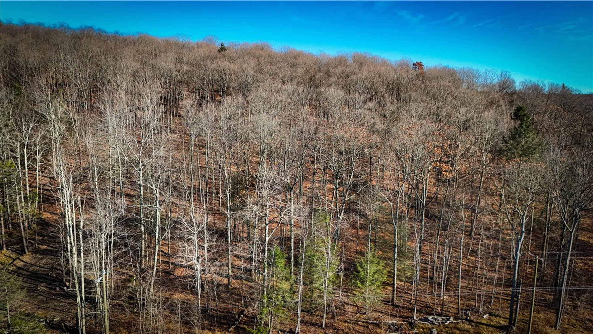 Property at Lot-01 Langford Creek Road, Van Etten, NY 14889 4