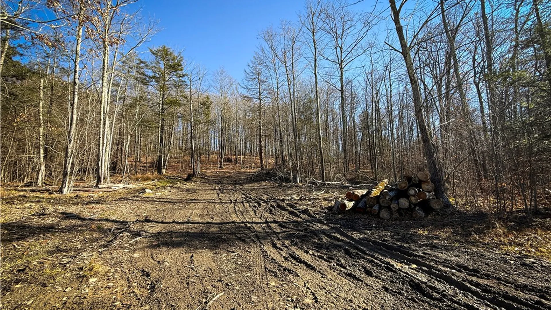 Property at Lot-01 Langford Creek Road, Van Etten, NY 14889 6