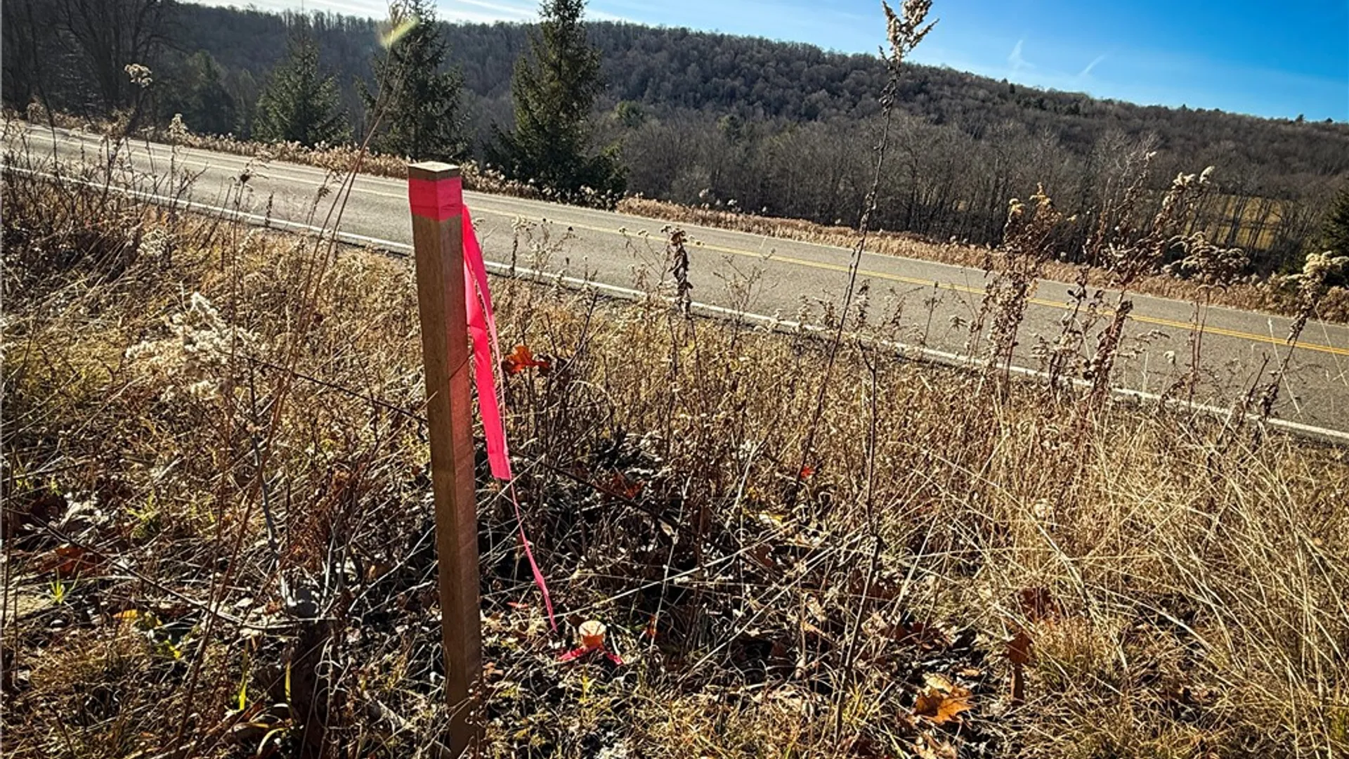 Property at Lot-01 Langford Creek Road, Van Etten, NY 14889 8