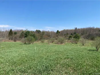 County Route 4, Palermo, NY 13069