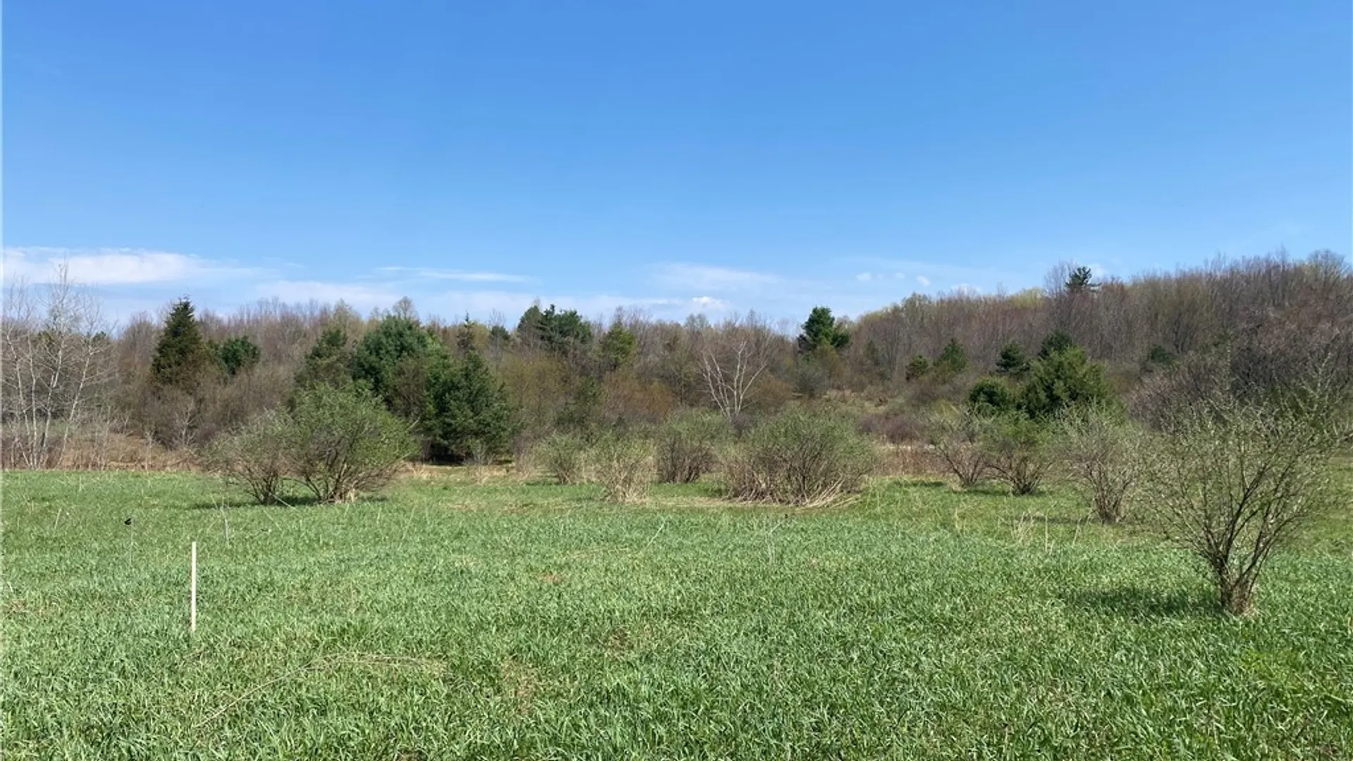 Property at County Route 4, Palermo, NY 13069 2