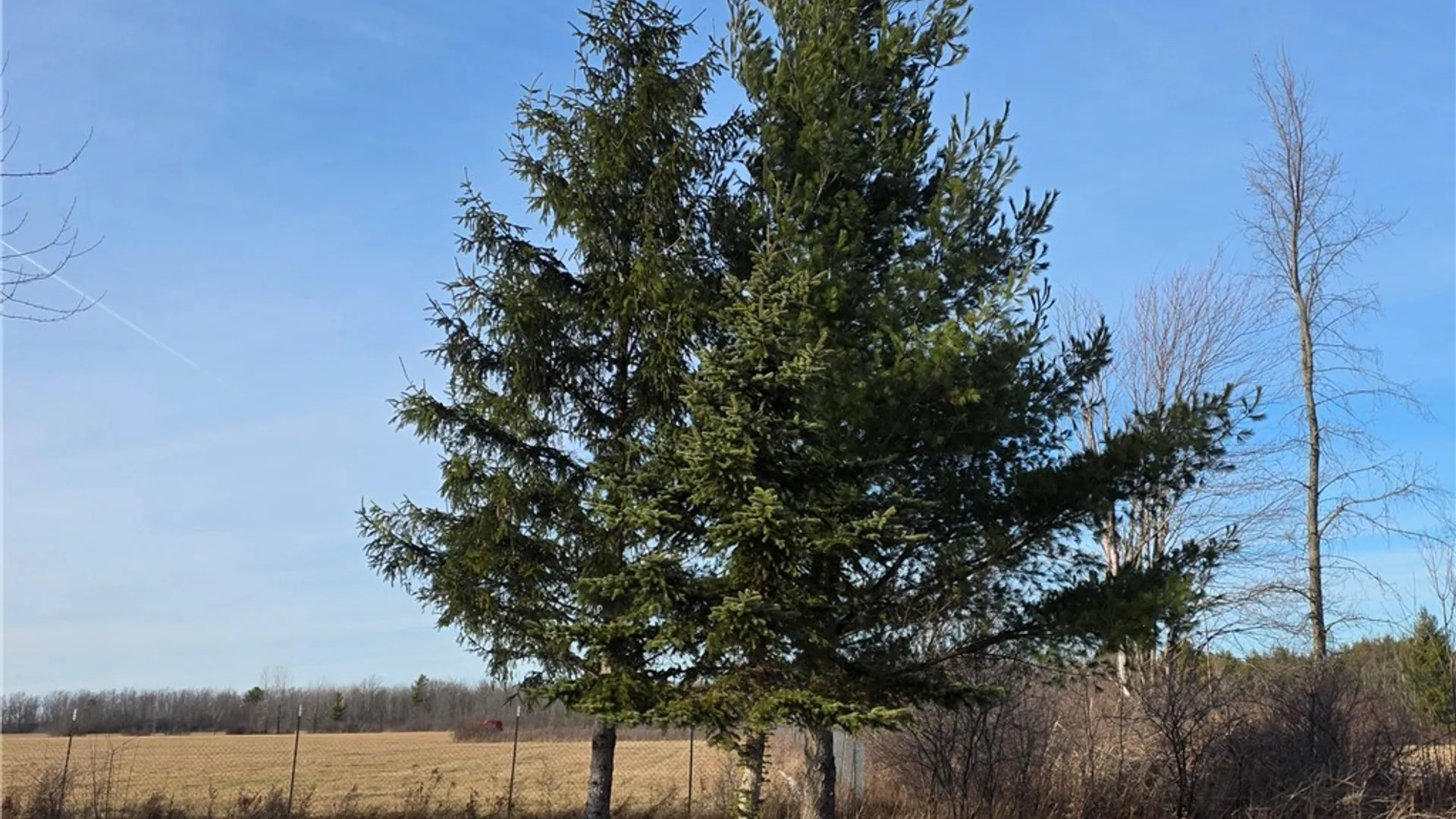 Property at 16215 Witt Road, Brownville, NY 13622 6