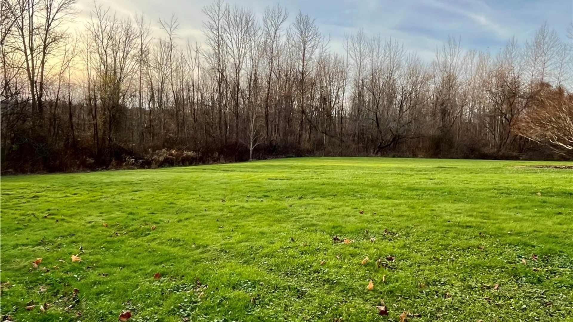 Property at 11834 Tellier Road, Wolcott, NY 14590 5