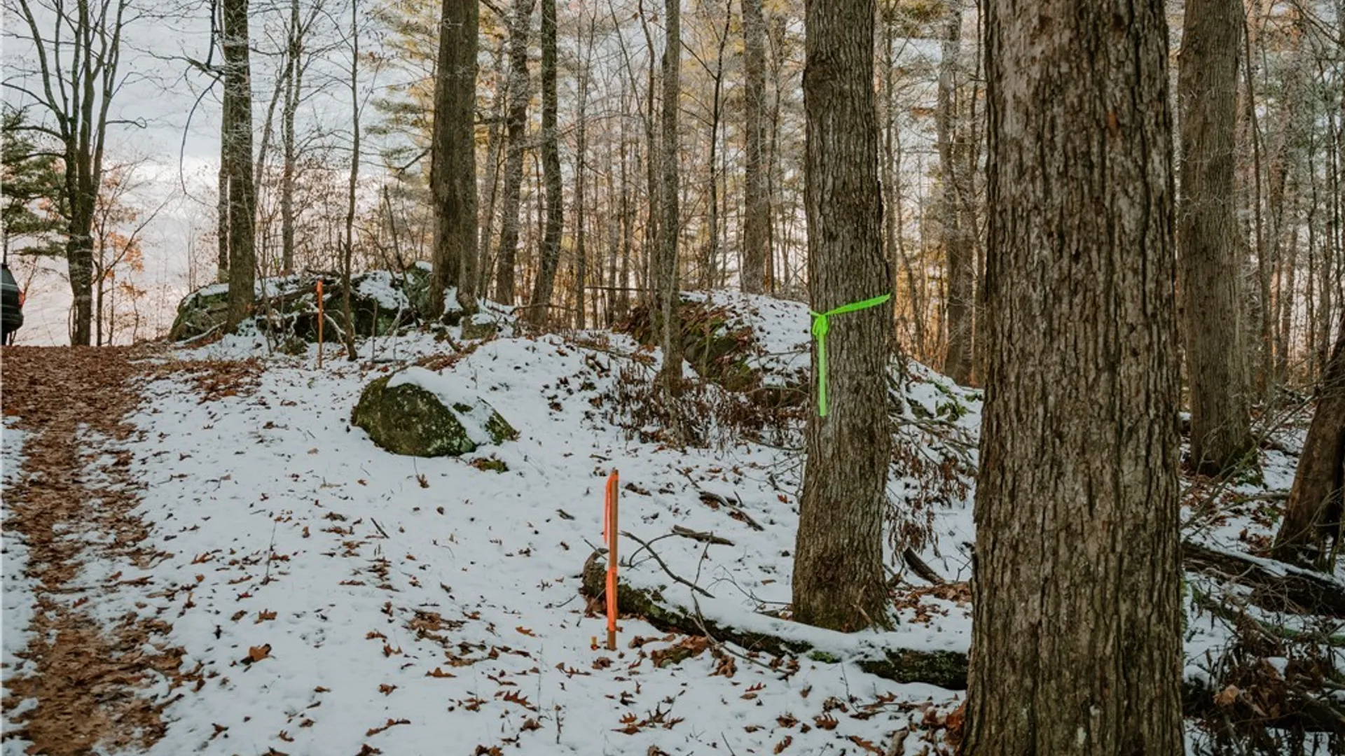 Property at Lot 3 Dewey Point Lane, Diana, NY 13648 6