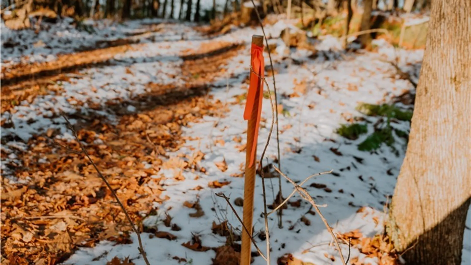 Property at Lot 3 Dewey Point Lane, Diana, NY 13648 7