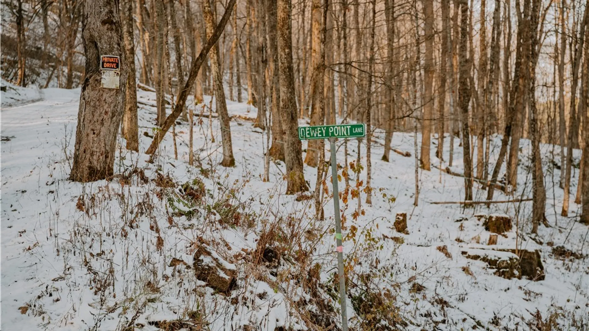 Property at Lot 3 Dewey Point Lane, Diana, NY 13648 8