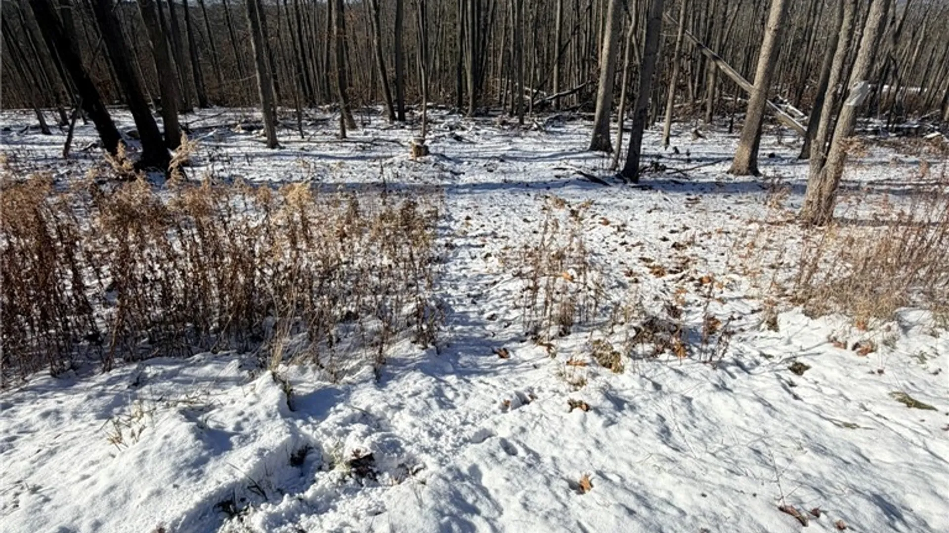 Property at Steege Hill Road, Big Flats, NY 14830 10