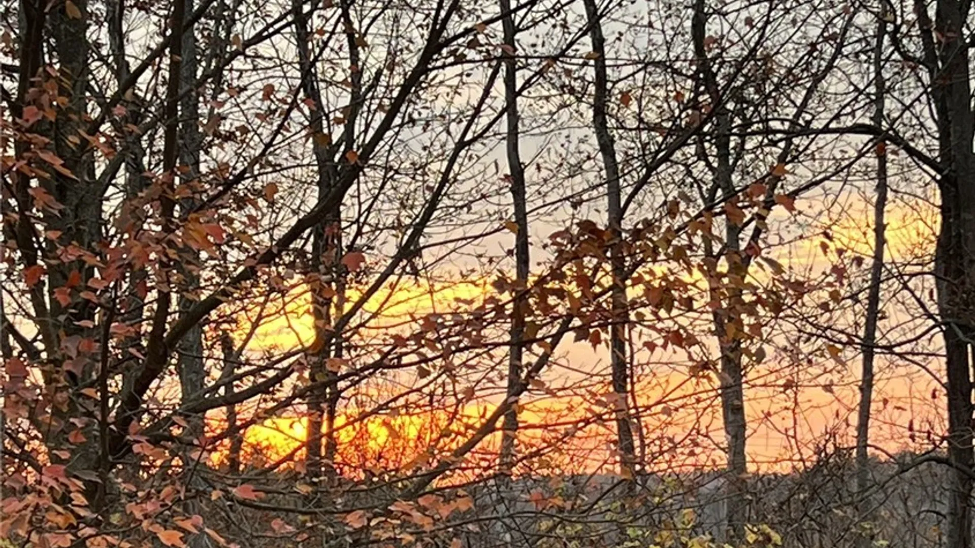 Property at Steege Hill Road, Big Flats, NY 14830 12